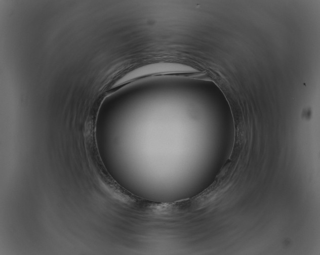 X0000090930092200708271053