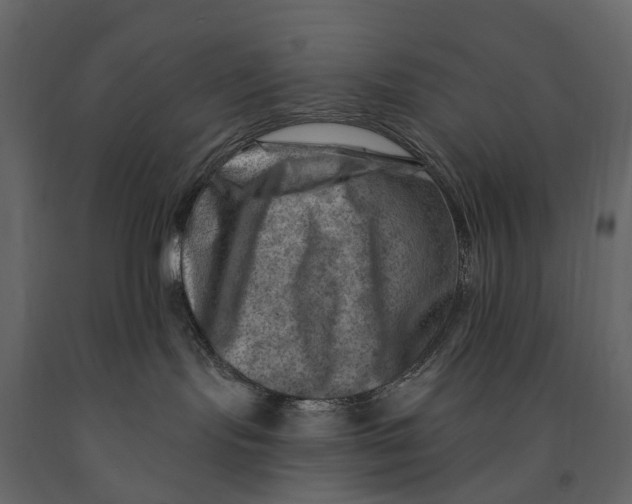 X0000090930095200708271053