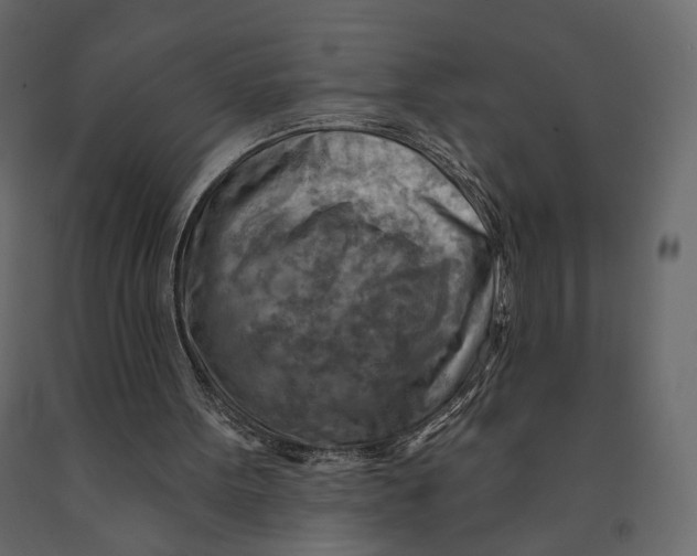 X0000090930099200708271052