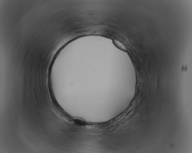 X0000090930100200708271052