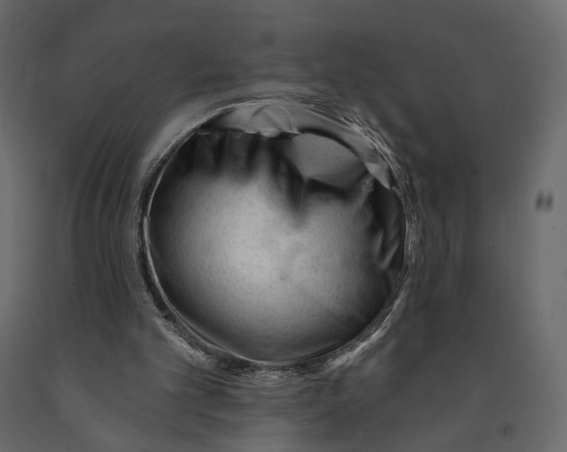 X0000090930101200708271052