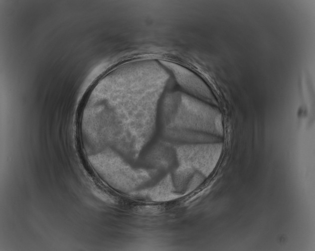 X0000090930102200708271052