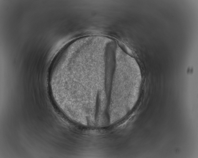 X0000090930103200708271052