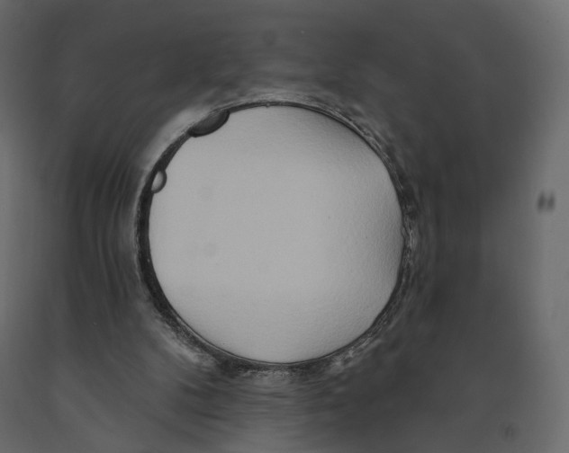 X0000090930104200708271052