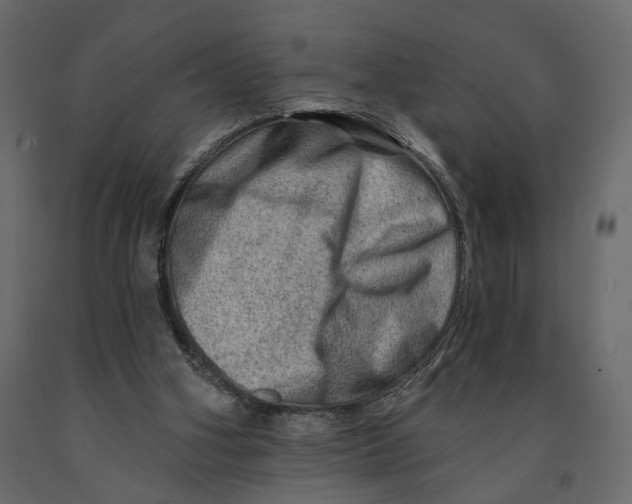 X0000090930106200708271052