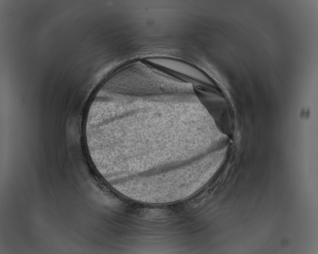 X0000090930107200708271052