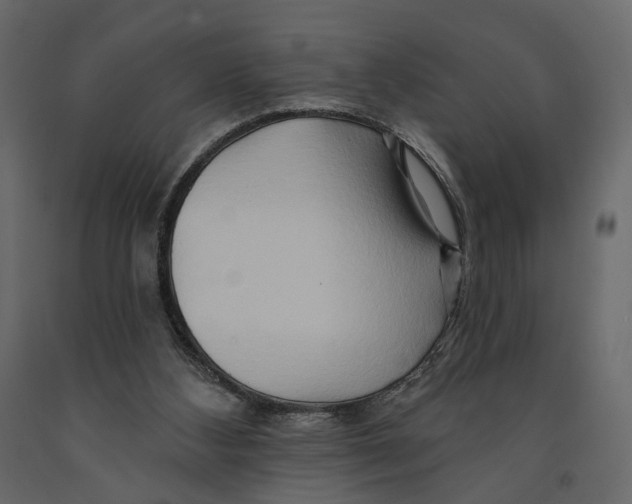 X0000090930108200708271052