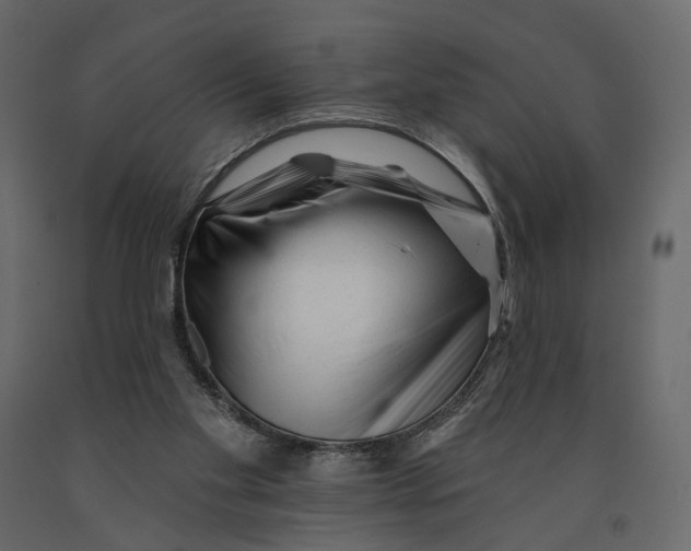 X0000090930109200708271052