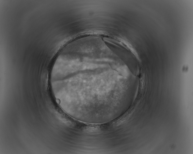 X0000090930110200708271052