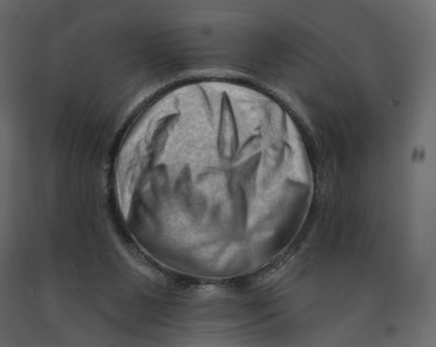 X0000090930111200708271052