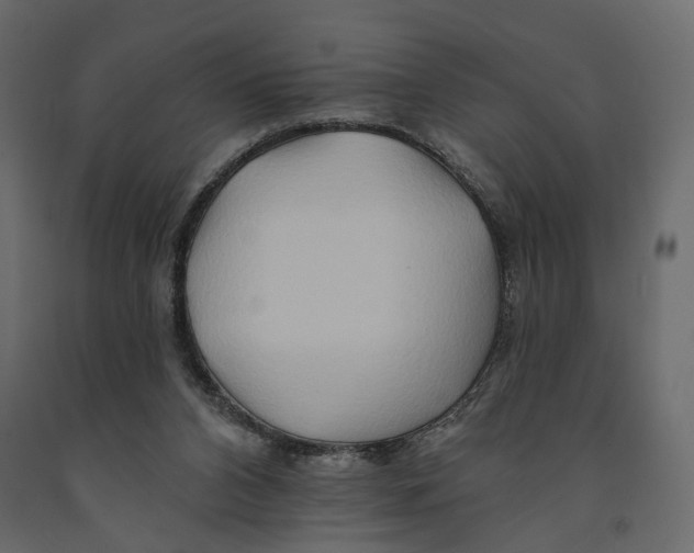 X0000090930112200708271052