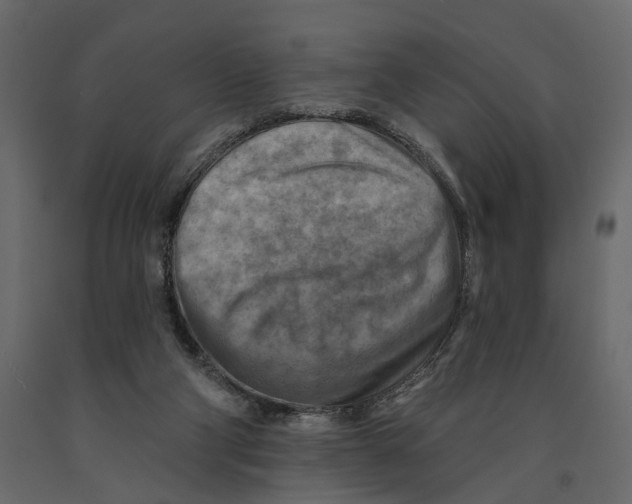 X0000090930114200708271052