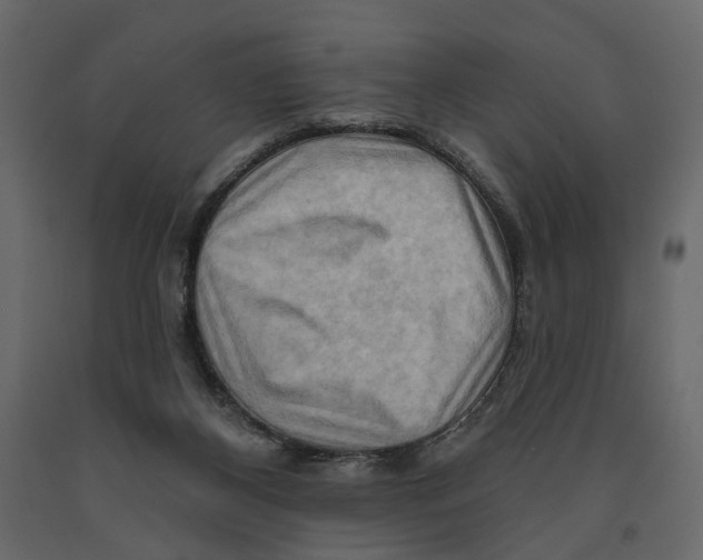 X0000090930116200708271052