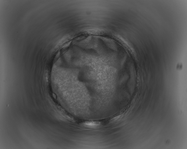 X0000090930117200708271052