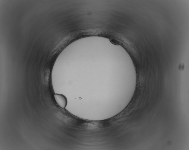 X0000090930118200708271052