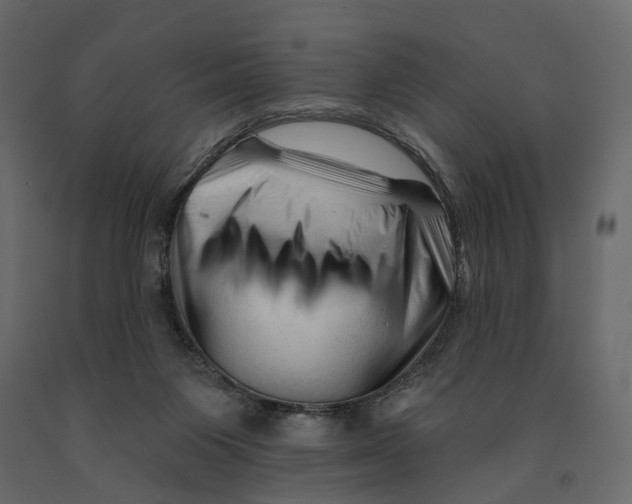 X0000090930119200708271052