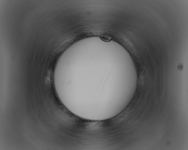 X0000090930122200708271052