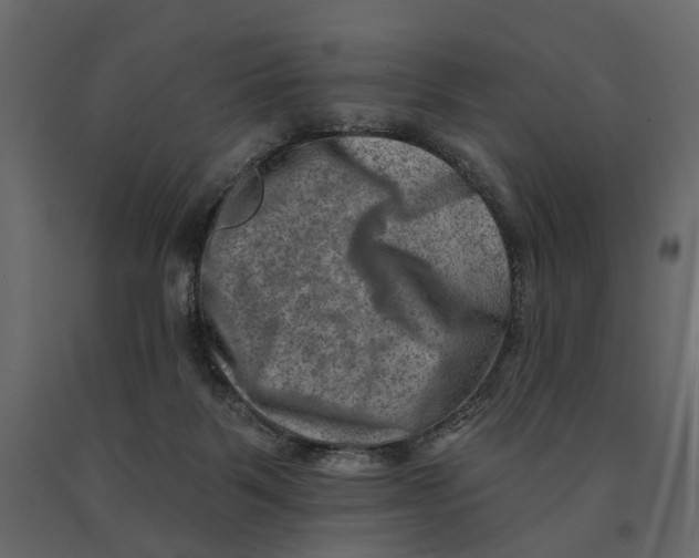 X0000090930123200708271052