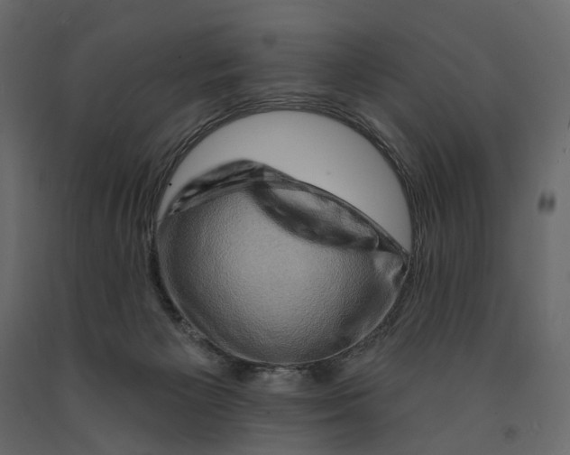 X0000090930125200708271052