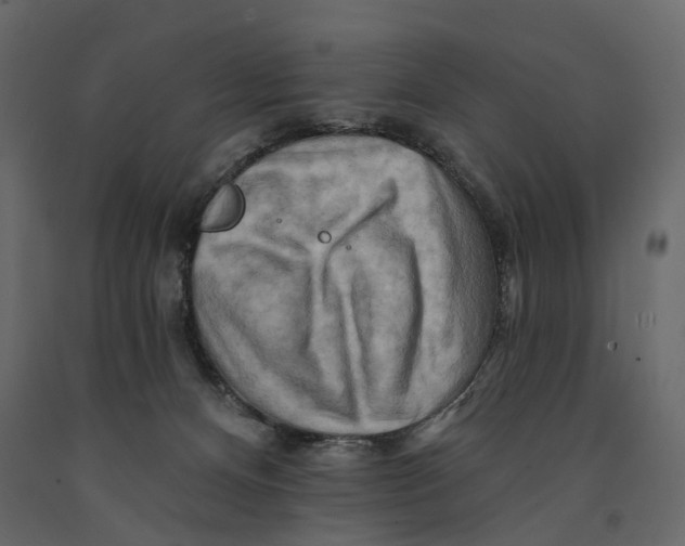 X0000090930128200708271052