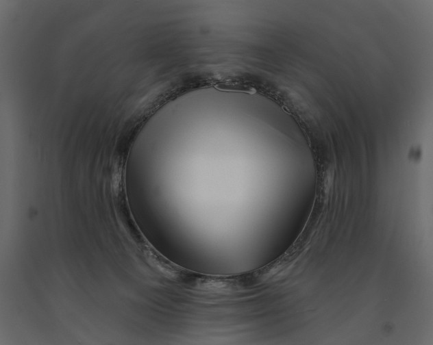 X0000090930129200708271052