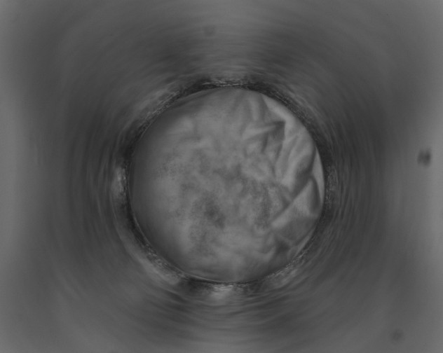 X0000090930130200708271052