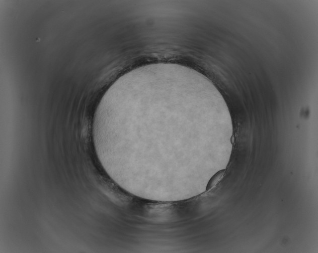 X0000090930132200708271052