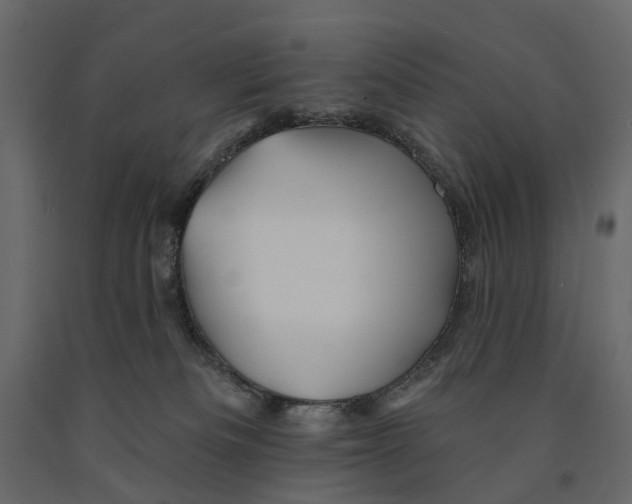 X0000090930133200708271052