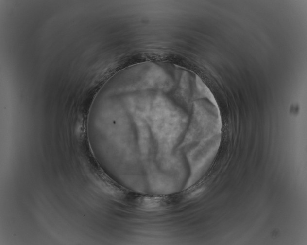 X0000090930134200708271052