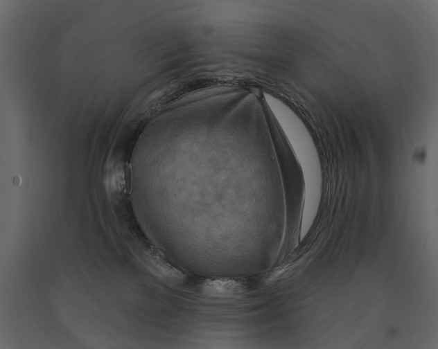 X0000090930137200708271052