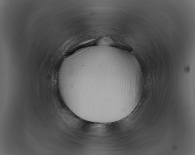 X0000090930140200708271052