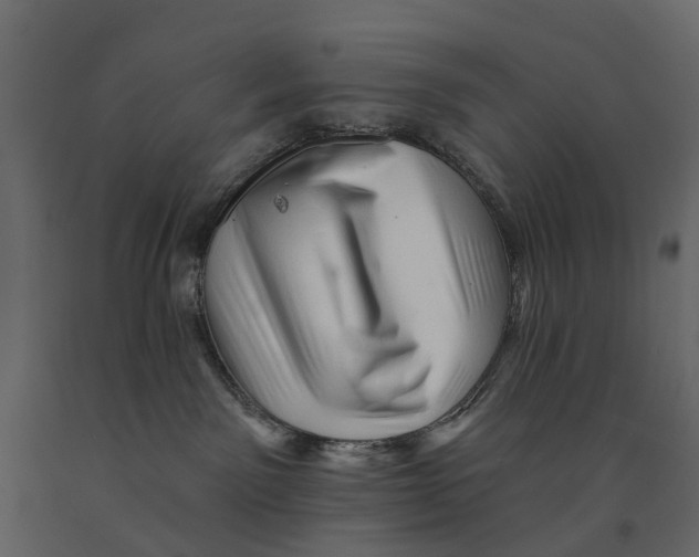 X0000090930141200708271052