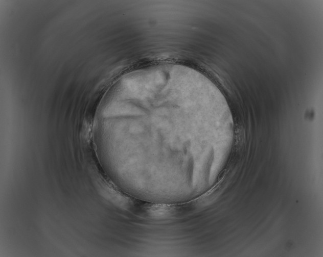 X0000090930142200708271052