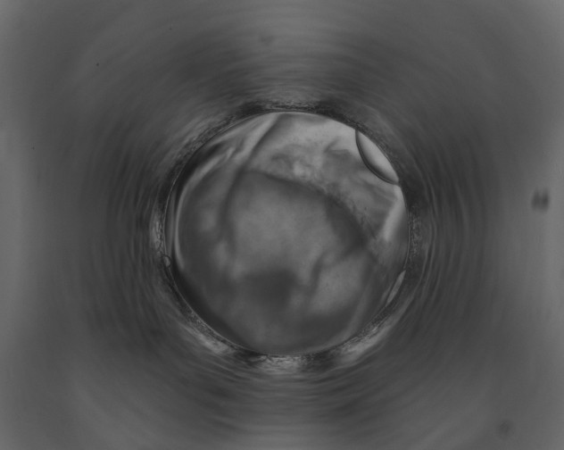 X0000090930143200708271052