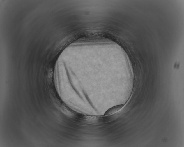 X0000090930144200708271052