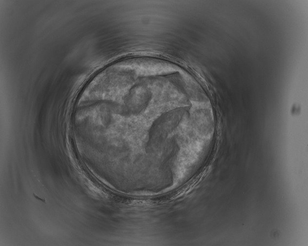 X0000090930145200708271051