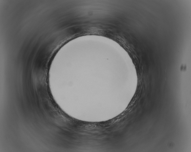 X0000090930146200708271051