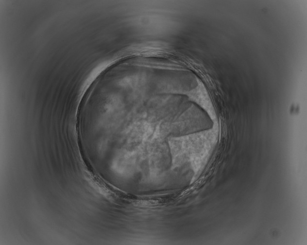 X0000090930147200708271051