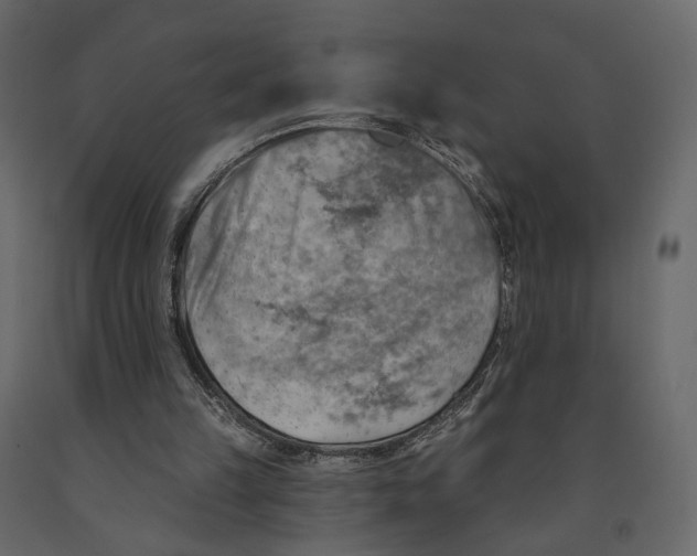 X0000090930149200708271051