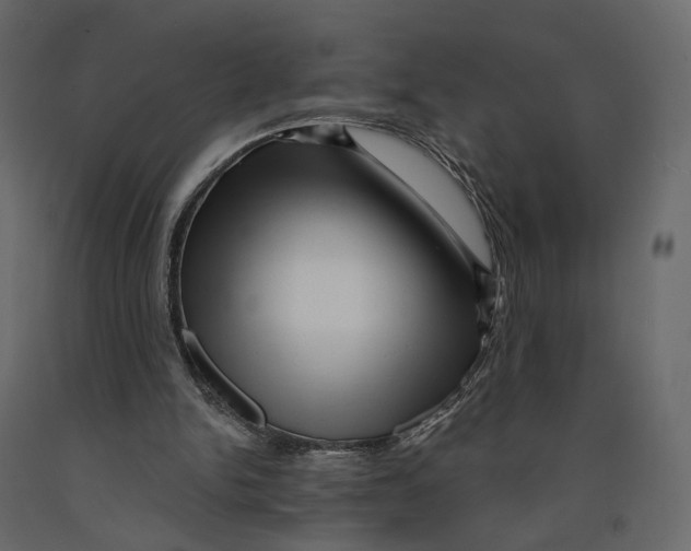 X0000090930150200708271051