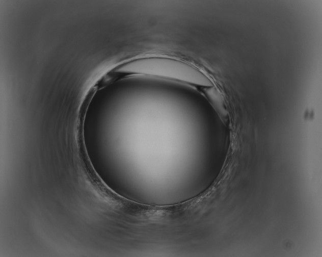 X0000090930152200708271051