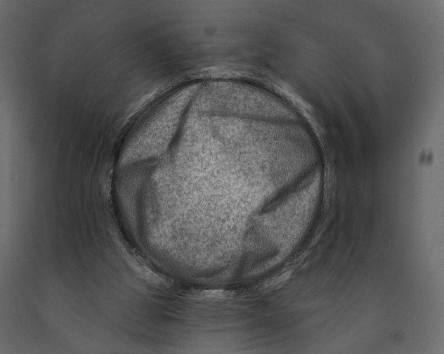 X0000090930153200708271051