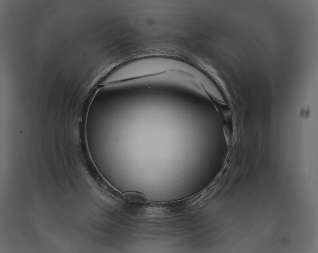 X0000090930154200708271051