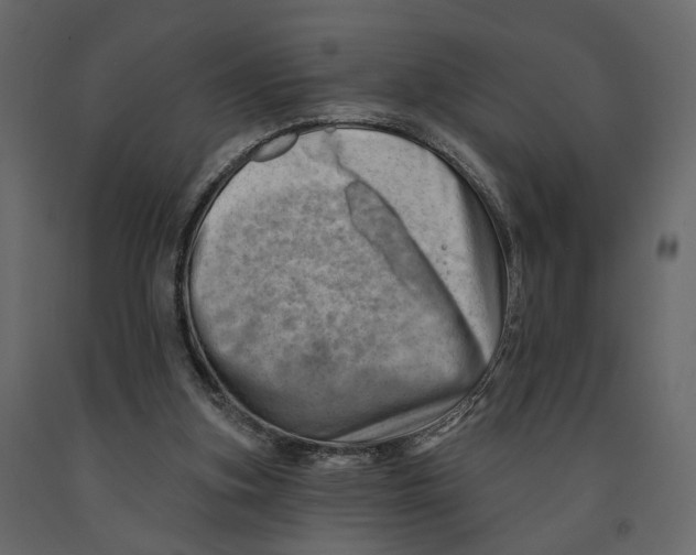 X0000090930155200708271051