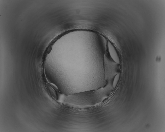 X0000090930156200708271051