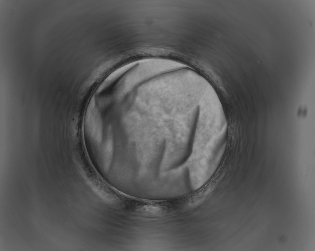 X0000090930159200708271051