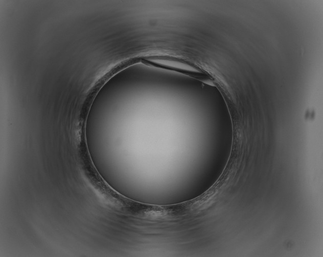 X0000090930160200708271051