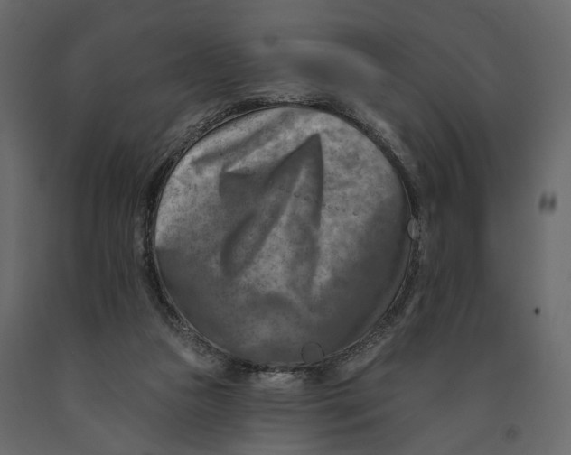 X0000090930161200708271051