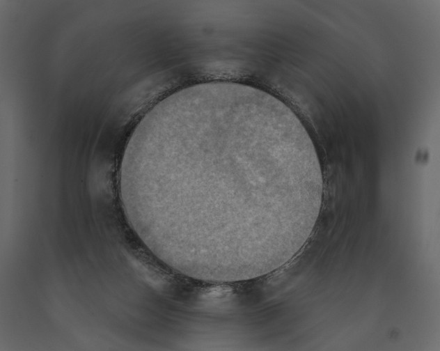 X0000090930162200708271051