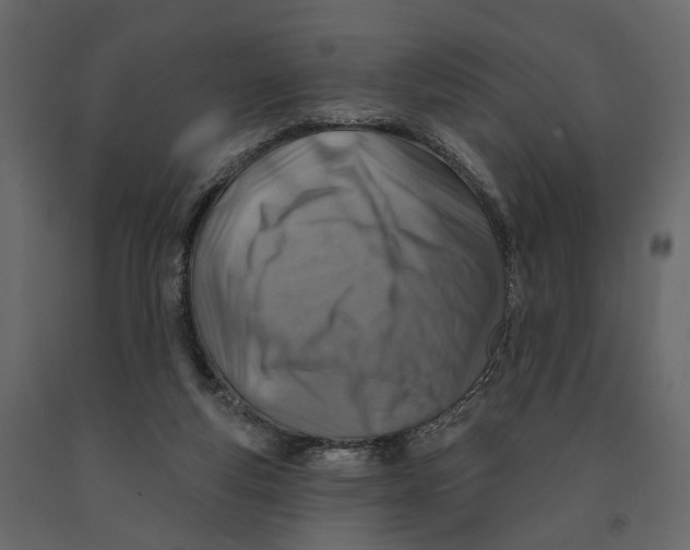 X0000090930163200708271051